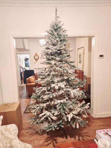 Snowy christmas tree - snowy,